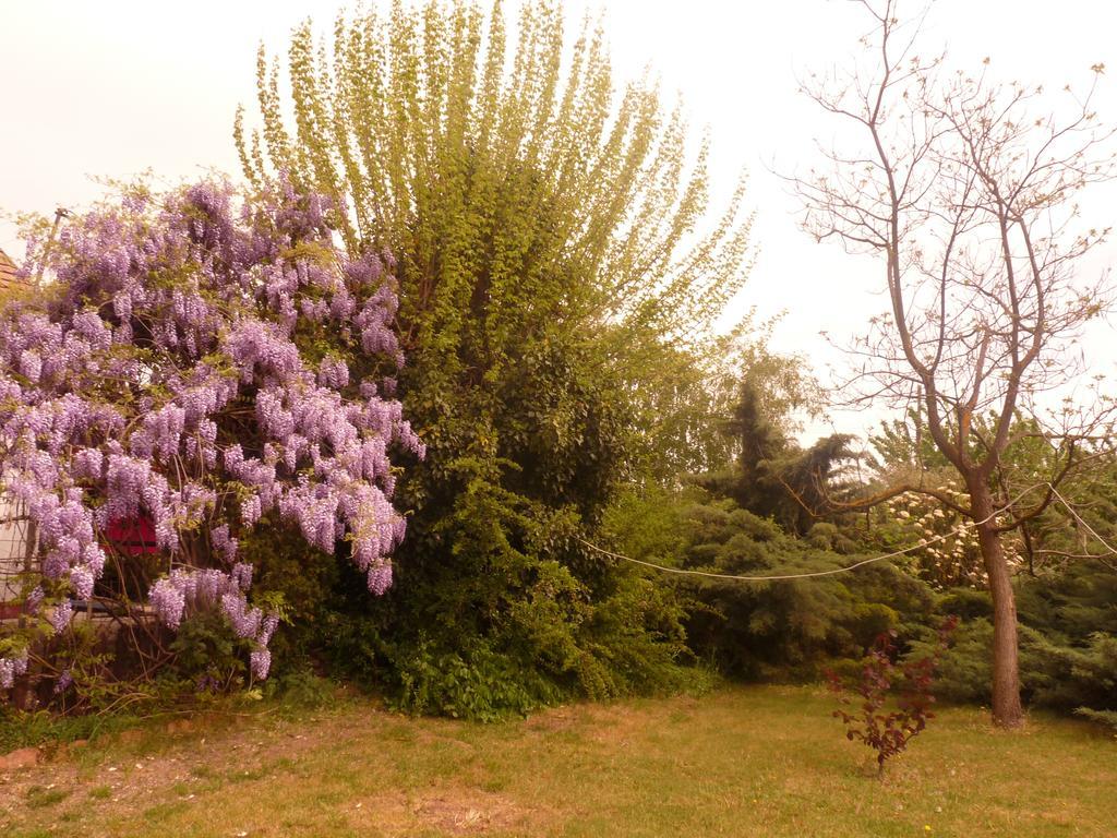 Villa Dobó Tanya Roszke Exterior foto