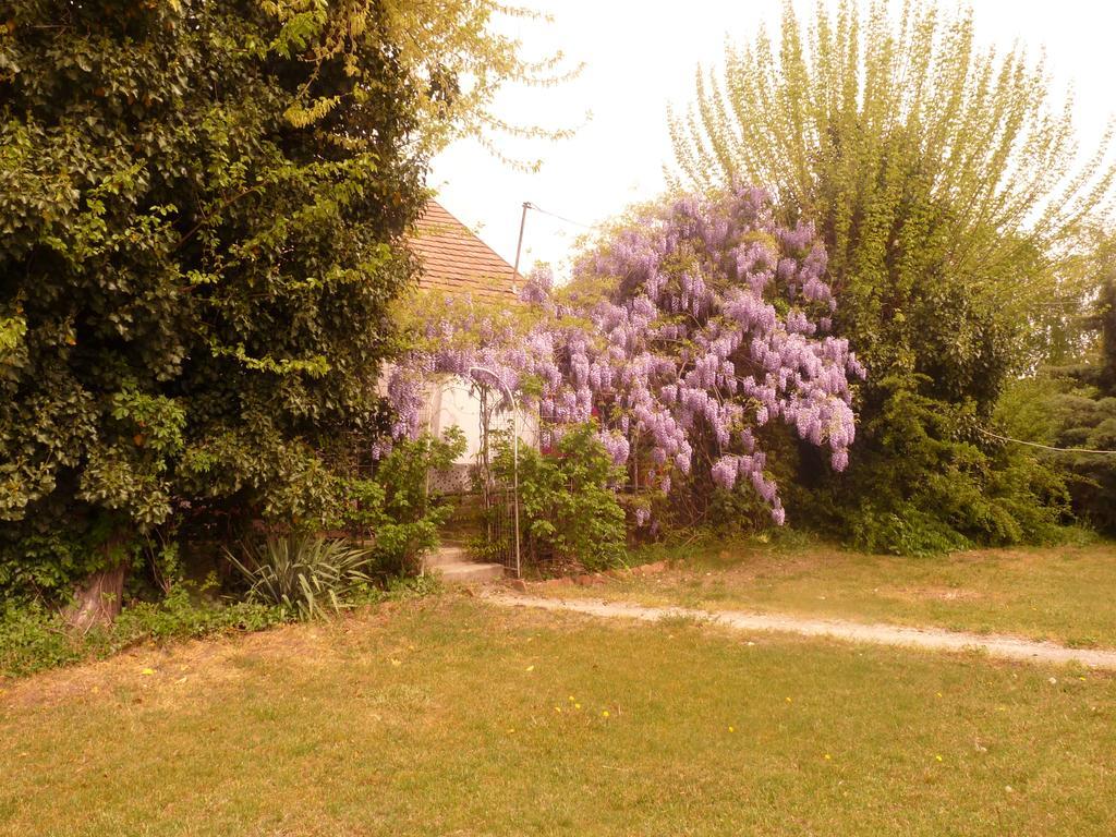 Villa Dobó Tanya Roszke Exterior foto
